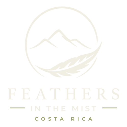 Feathers in the Mist Costa Rica
